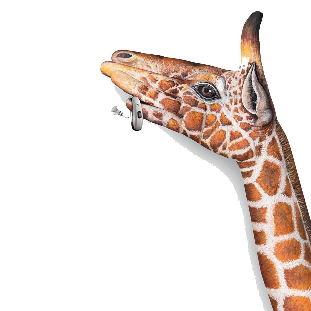 A close up of a giraffe